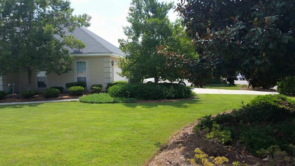 Thick, weed-free lawn after lawn treatment services in Augusta, GA