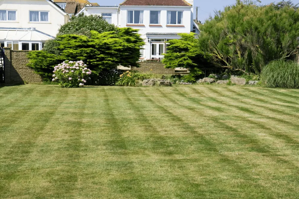 AFFORDABLE LAWN MAINTENANCE SERVICE IN AUGUSTA Featured