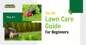 Lawn Care Guide For Beginners