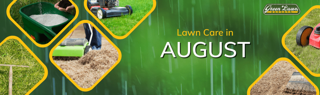 Lawn care in August