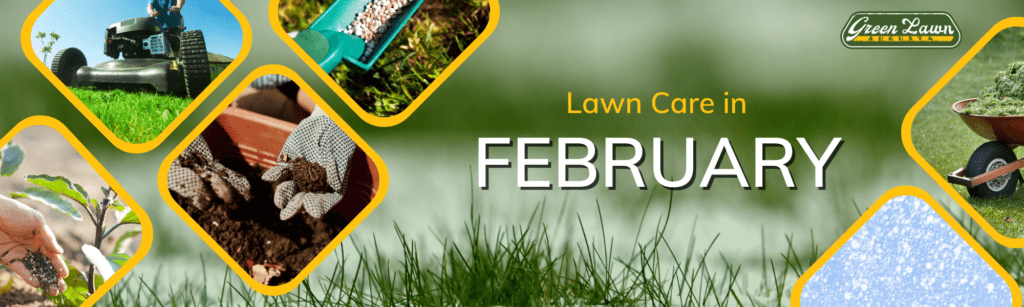 Lawn care in February