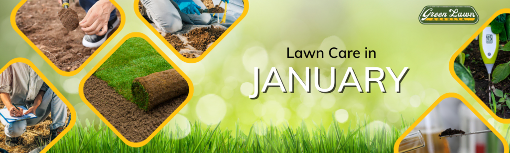 Lawn care in January