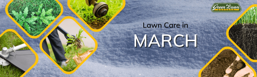 Lawn care in March