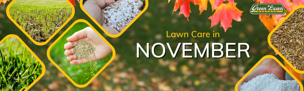 Lawn care in November