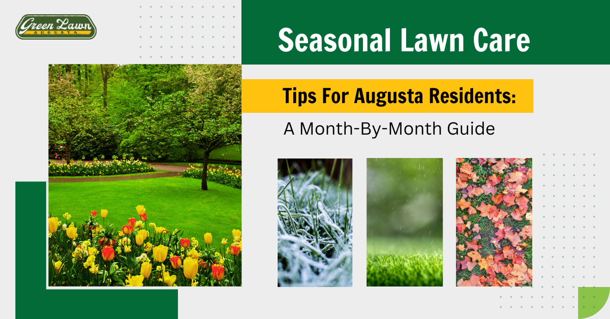 Seasonal Lawn Care Tips For Augusta