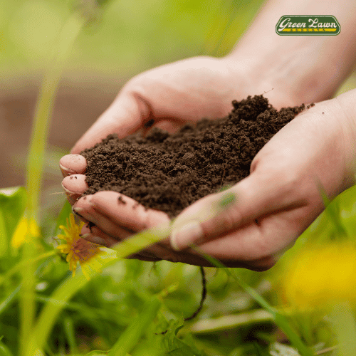 Importance of Soil Testing in Organic Lawn Care