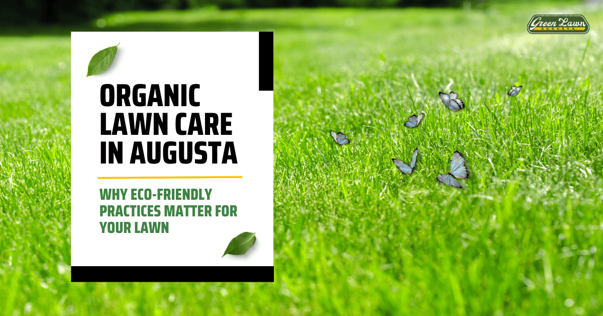 Ultimate Guide to Organic Lawn Care in Augusta