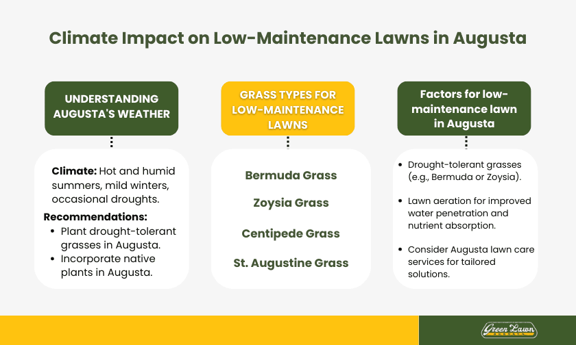 Climate Impact on Low-Maintenance Lawns in Augusta