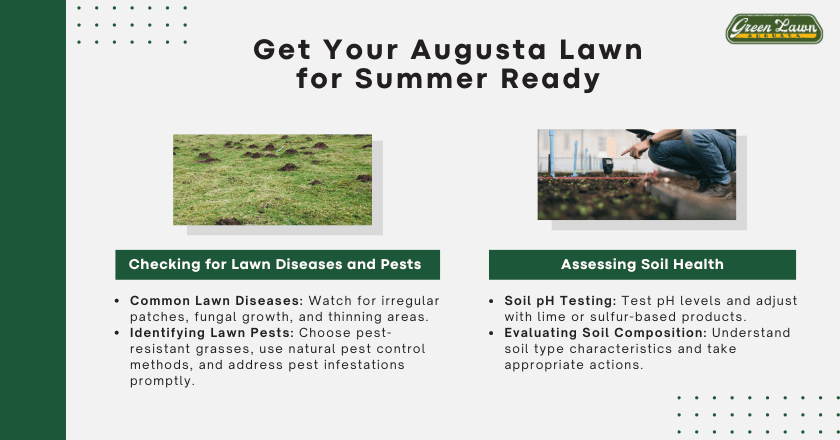 Get Your Augusta Lawn for Summer Ready