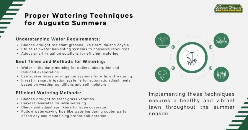 Proper Watering Techniques for Augusta Summers