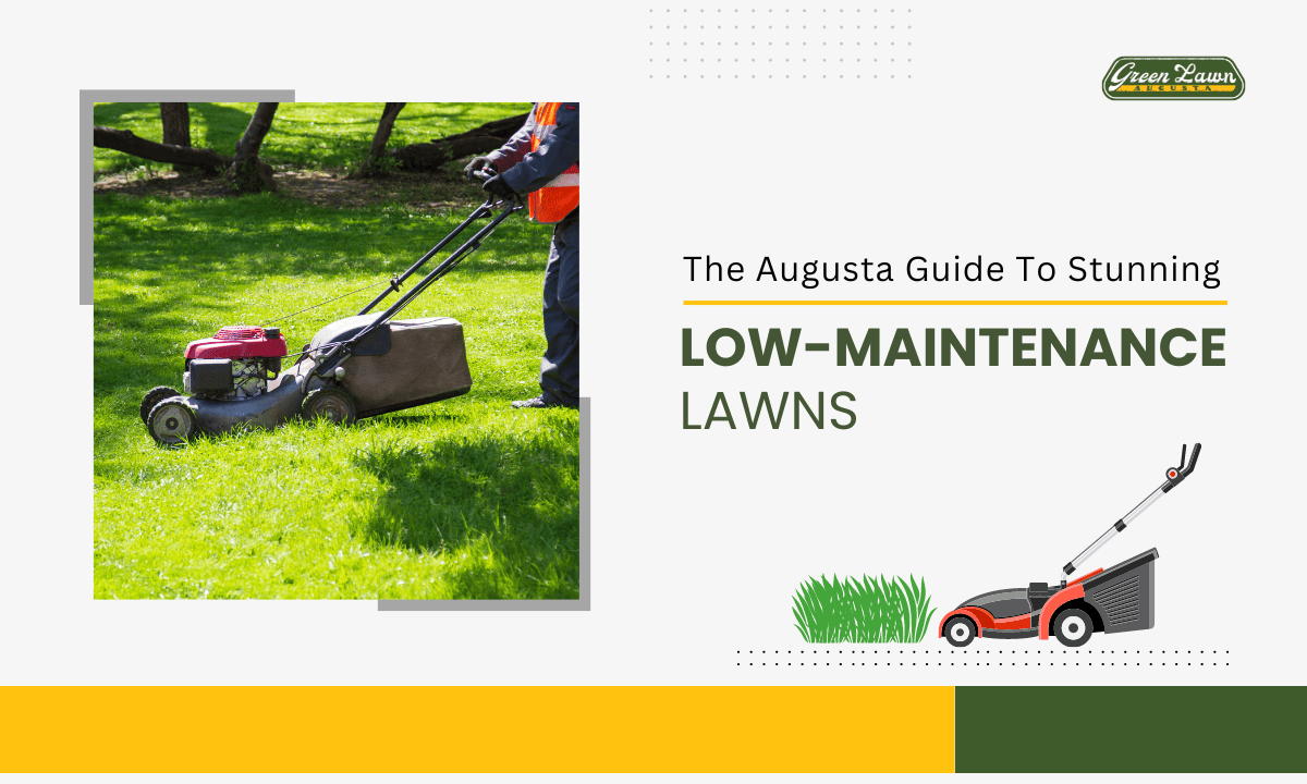 The Augusta Guide To Stunning Low-Maintenance Lawns