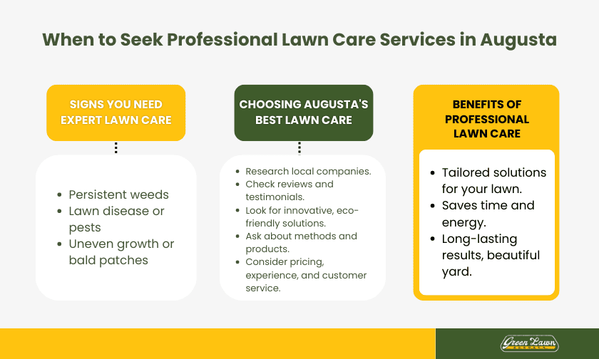 When to Seek Professional Lawn Care Service