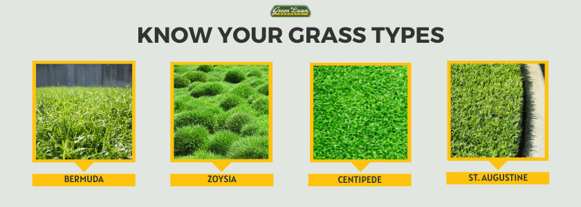 Know Your Grass Types