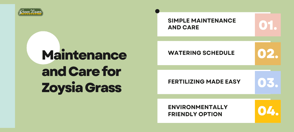 Maintenance and Care for Zoysia Grass