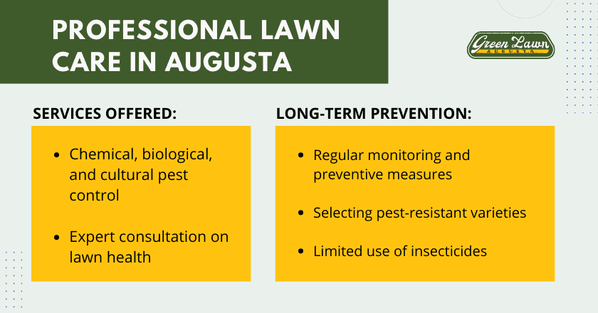 Professional Lawn Care in Augusta
