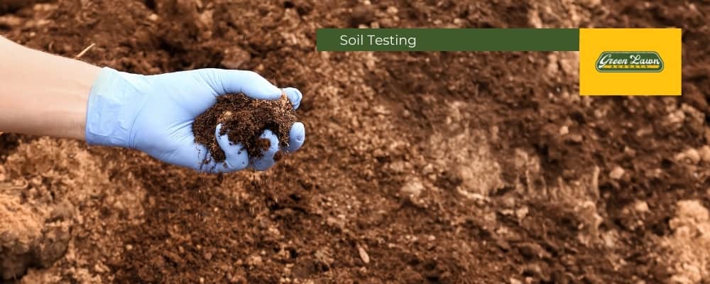 Soil Testing and Fertilization before Sod Installation