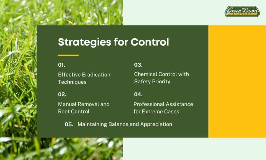 Strategies for Controlling Bermuda Grass