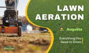 Everything You Need to Know About Lawn Aeration in Augusta