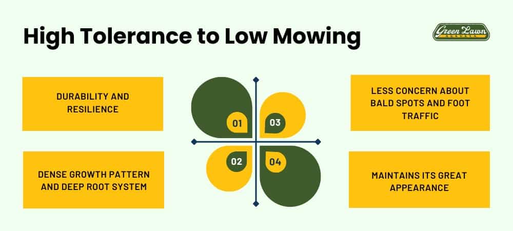 High Tolerance to Low Mowing