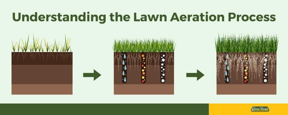 Understanding the Lawn Aeration Process
