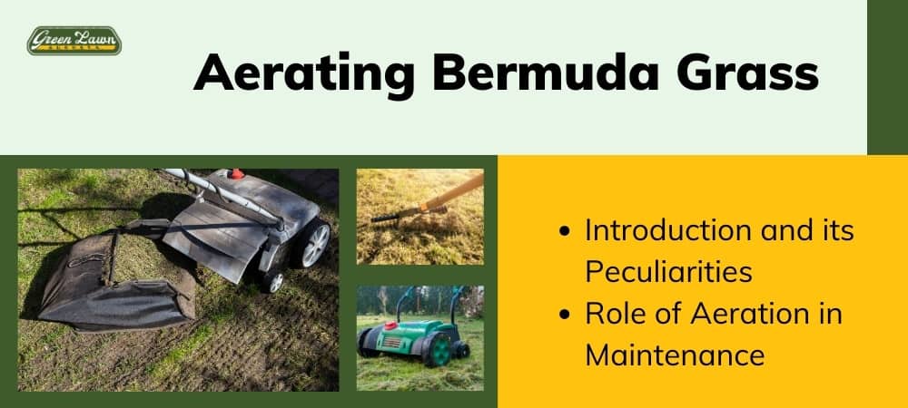 Aerating Bermuda Grass in Augusta