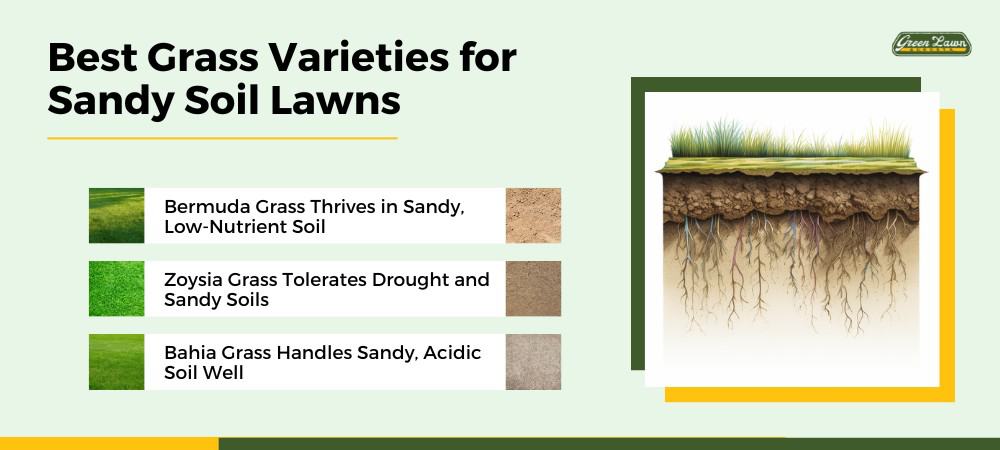 Grass Varieties for Sandy Soil Lawns