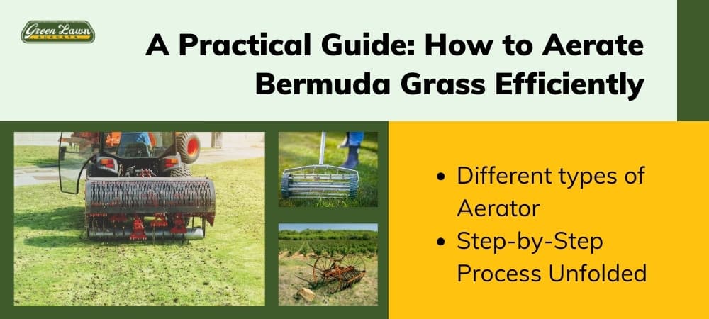 How to Aerate Bermudagrass