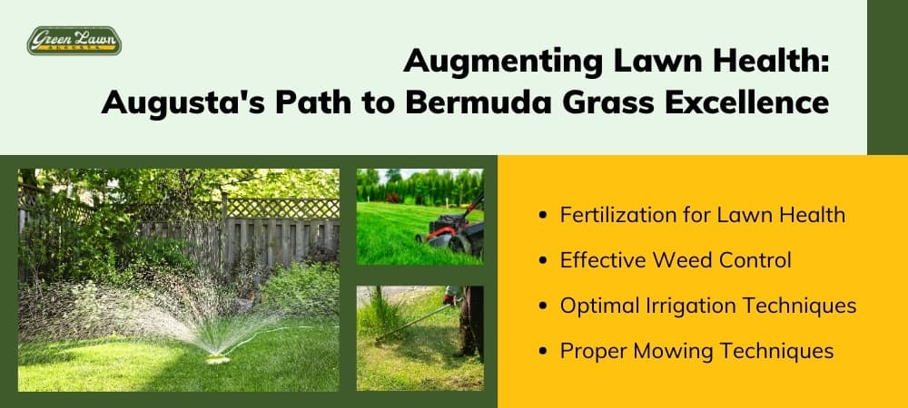 Path to Bermudagrass Excellence