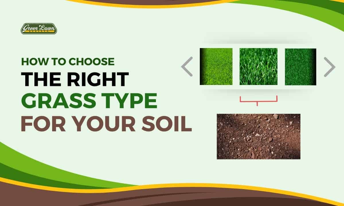 The Right Grass Type For Your Soil - Lawn Care