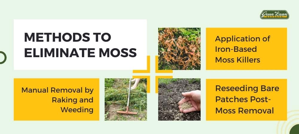 Methods to Eliminate Moss