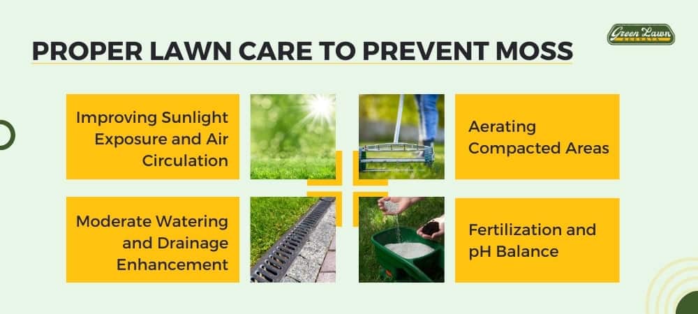 Proper Lawn Care to Prevent Moss