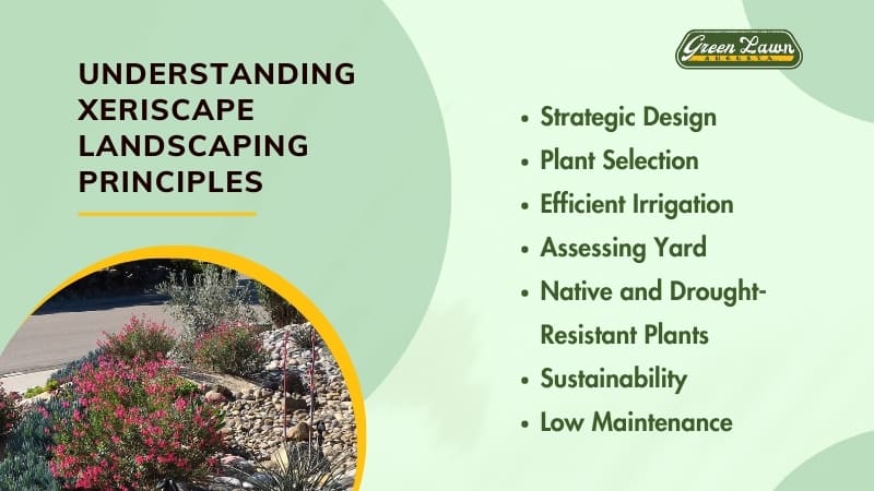Understanding Xeriscape Landscaping Principles