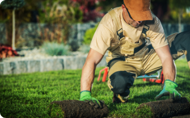 sod-installation