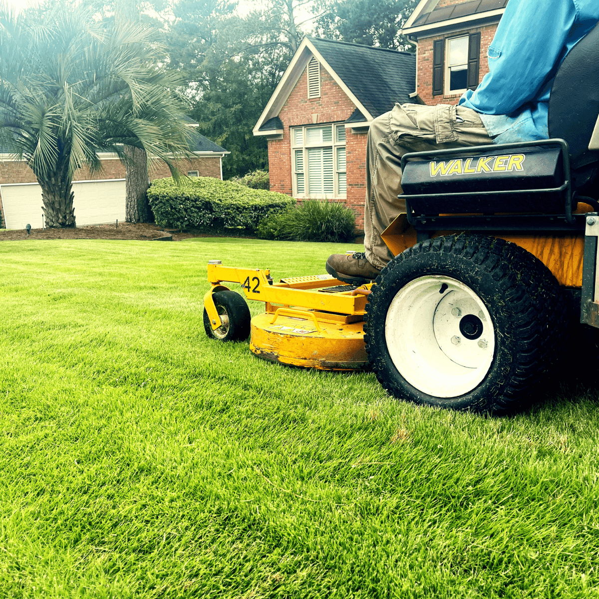 Lawn mowing service in Augusta GA